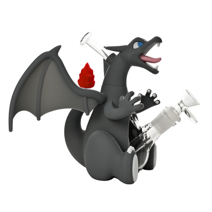 ~Charizard