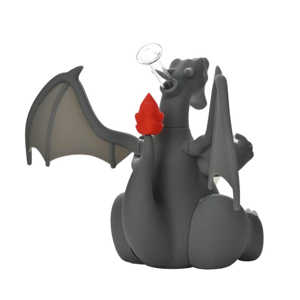 ~Charizard